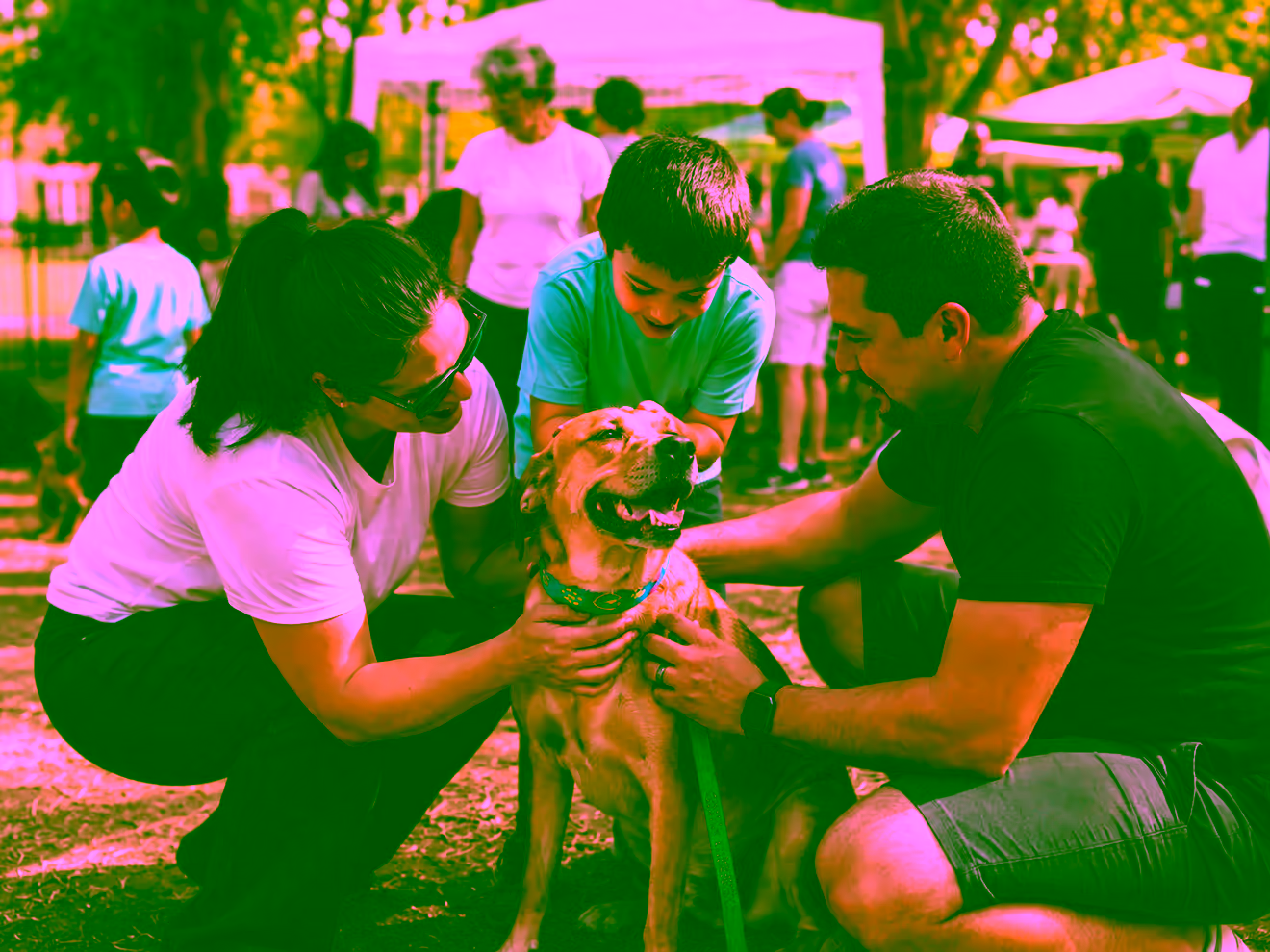 Família conhecendo um cachorro durante uma feira de adoção