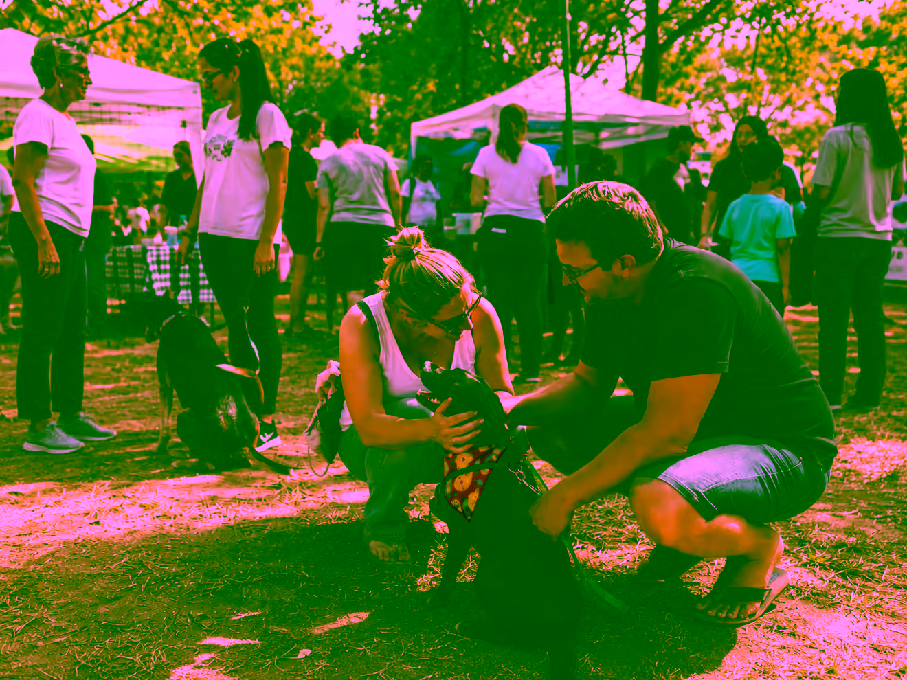 Casal acariciando um cachorro durante uma feira de adoção